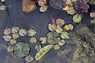 黎明杀机冬促福利回归，你绝对不能错过的活动！